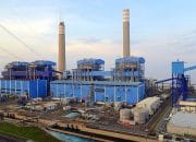 Rekor Produksi Batu Bara RI 2024: Tantangan Berat Transisi Energi