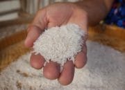 India Turunkan Harga Beras untuk Dorong Produksi Etanol