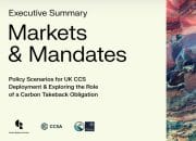 Laporan Baru Ungkap Strategi Kebijakan untuk Mencapai Target Penyimpanan Karbon di Inggris