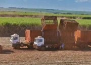 BNDES Brasil Dukung Produksi Etanol dan Pembangkit Listrik Berbasis Biomassa