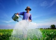 Kepmendesa PDT Nomor 3 Tahun 2025 dan Tantangan Mewujudkan Swasembada Pangan di Desa