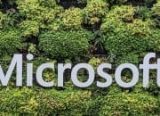 Microsoft Perkuat Komitmen Net Zero, Beli 7 Juta Ton Kredit Karbon dari Chestnut