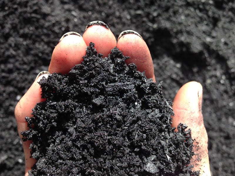 Biochar