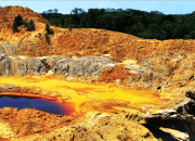 Walhi Desak DPR Batalkan Rencana Izin Tambang untuk Kampus, Khawatir Rusak Independensi Pendidikan