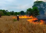 The Global Carbon Council Luncurkan Alat Estimasi Emisi GRK dari Oksidasi dan Pembakaran Gambut