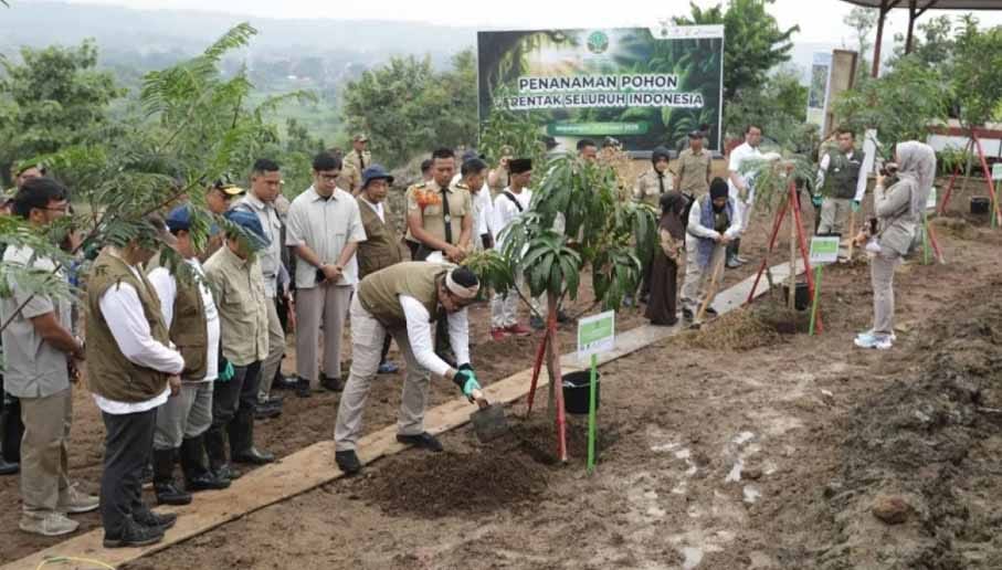 Aksi penanaman pohon