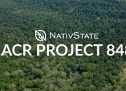 NativState Verifikasi dan Rilis Lebih dari 400.000 Kredit Karbon dari Proyek Hutan Louisiana Plains