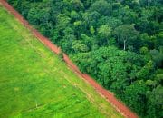 Brasil Resmikan Perdagangan Karbon, Namun Efektivitasnya Dipertanyakan