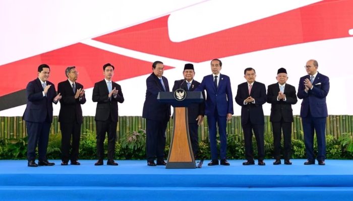 Danantara dan Masa Depan Energi: Miliaran Dolar untuk Transisi Hijau