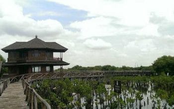 Jakarta Bakal Miliki ‘Giant Mangrove Wall’ untuk Tangkal Banjir Rob dan Abrasi