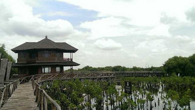 Taman Wisata Alam Angke Kapuk