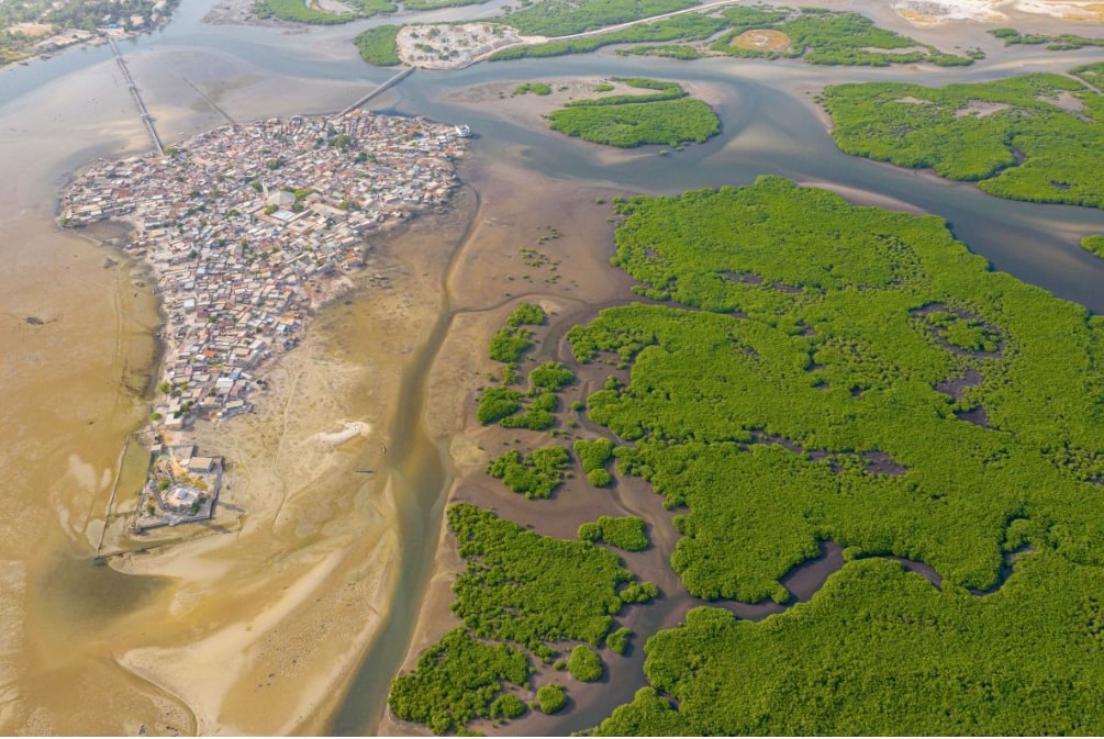 Pulau Fadiouth, yang terletak di dekat Saloum, Senegal, dikelilingi hutan mangrove. Photo: Mariusz Prusaczyk/Alamy Stock Photo