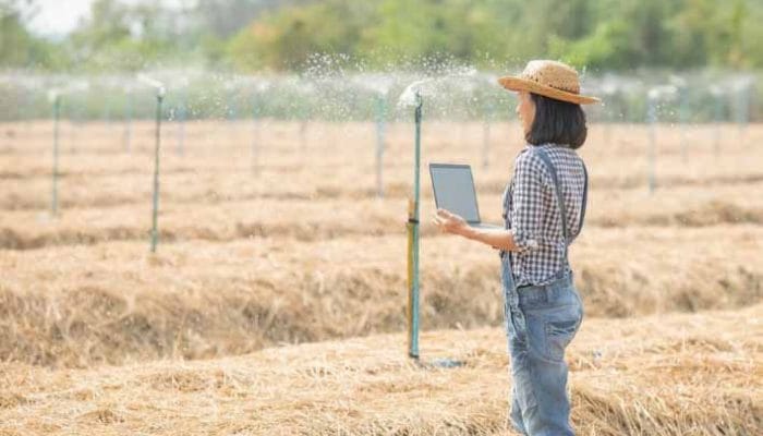 Proyek Karbon Tanah Agreena Terdaftar di Standar Verra, Dorong Pertanian Regeneratif