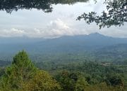 Status Kawasan Hutan Jadi Penghambat, Ribuan Desa Terjebak Kemiskinan dan Minim Layanan Dasar