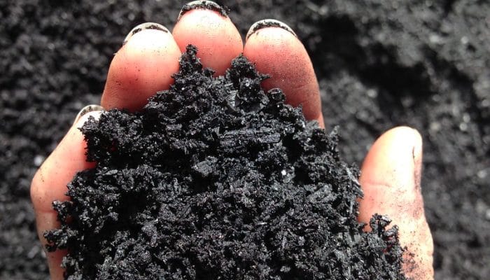 Google Beli 100.000 Ton Kredit Karbon dari Proyek Biochar di India