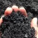 Biochar