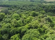 Vietnam Kembangkan Pasar Karbon untuk Capai Target Net-Zero Emisi