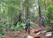 Vietnam Uji Coba Pasar Perdagangan Karbon pada 2025