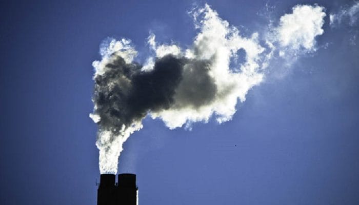 Senken dan Carbonsate Sepakati Perjanjian Penyimpanan Biomassa Terbesar di Eropa untuk Penghilangan Karbon