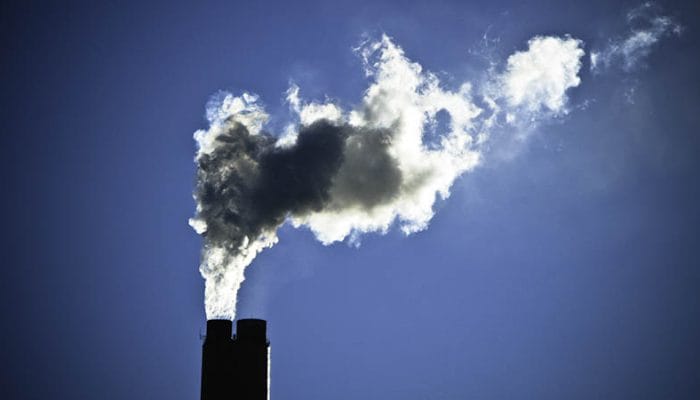 Finlandia Kucurkan Hibah Rp357 Miliar untuk Fasilitas Tangkap Karbon Biogenik Metsä Fibre