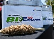 Pemerintah Diminta Serius Dorong Bioethanol sebagai Bahan Bakar Nabati