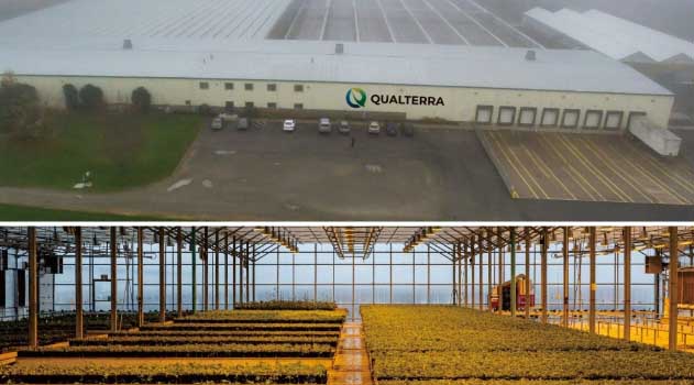 Qualterra