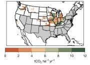 Studi: Enhanced Weathering Berpotensi Kurangi Emisi Karbon di Sektor Pertanian AS
