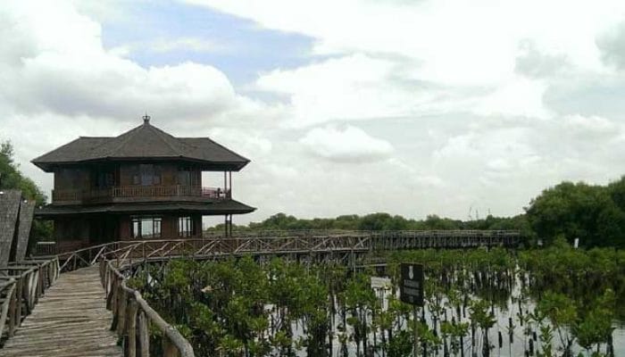 Jakarta Bakal Miliki ‘Giant Mangrove Wall’ untuk Tangkal Banjir Rob dan Abrasi