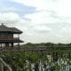 Taman Wisata Alam Angke Kapuk