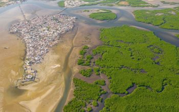 Pulau Fadiouth, yang terletak di dekat Saloum, Senegal, dikelilingi hutan mangrove. Photo: Mariusz Prusaczyk/Alamy Stock Photo