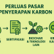 perluas pasar penyerapan karbon