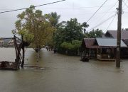 Banjir Sumatra 2025: Alam yang Menagih Janji, Mendesaknya Revisi UU Kehutanan