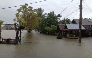 Banjir Sumatra 2025: Alam yang Menagih Janji, Mendesaknya Revisi UU Kehutanan