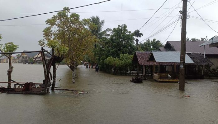 Banjir Sumatra 2025: Alam yang Menagih Janji, Mendesaknya Revisi UU Kehutanan