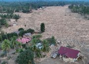 Kemenhut Izinkan Pemanfaatan Terbatas Kayu Hanyut Pascabanjir Sumatra