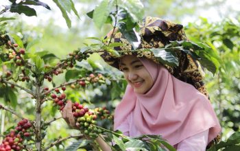 Aturan Deforestasi Uni Eropa Berpotensi Ubah Standar Kopi Global, Bukan Hanya untuk Pasar Eropa