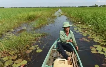 Green Carbon dan New Forests Asia Jajaki Kerja Sama Kredit Karbon di Lahan Sawah Vietnam